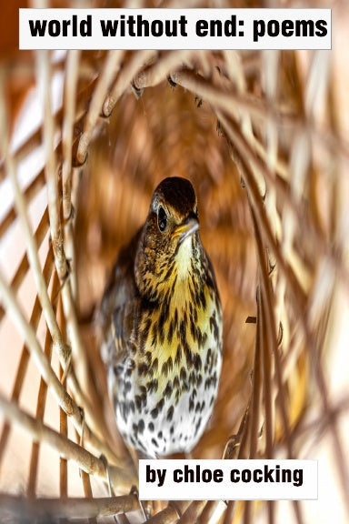 world without end by chloe cocking (Ebook)