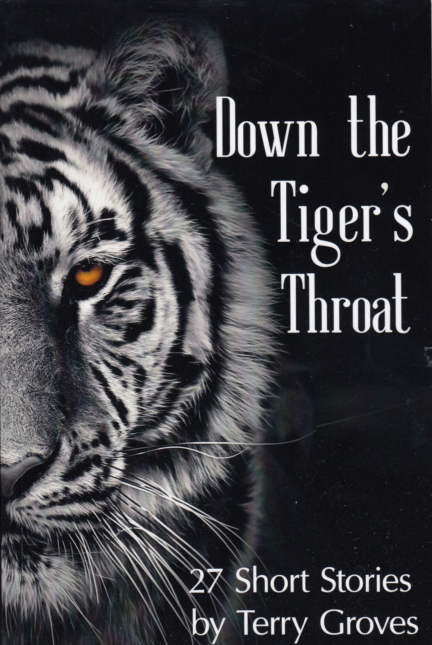 Down the Tiger's Throat by Terry Groves (Ebook)