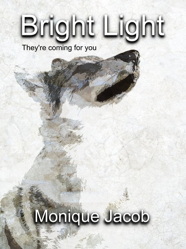 Bright Light by Monique Jacob
